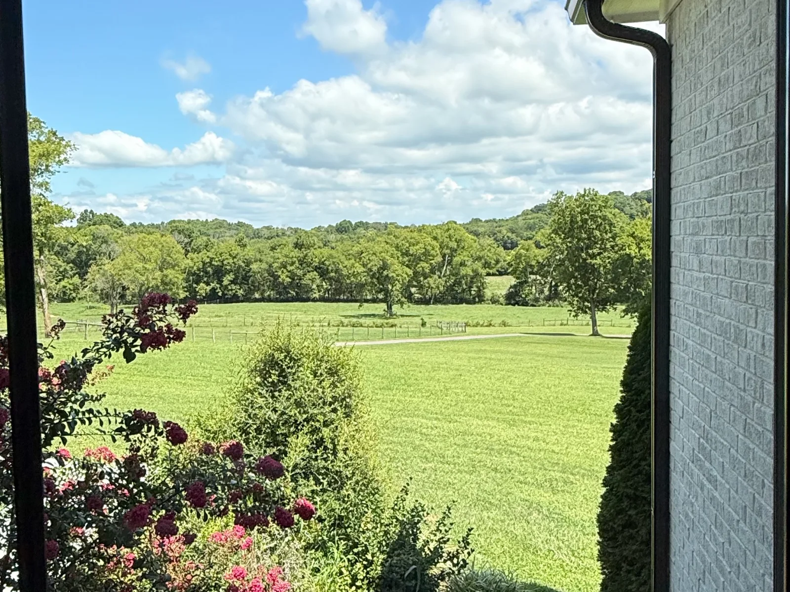 Window Cleaning in Middle Tennessee