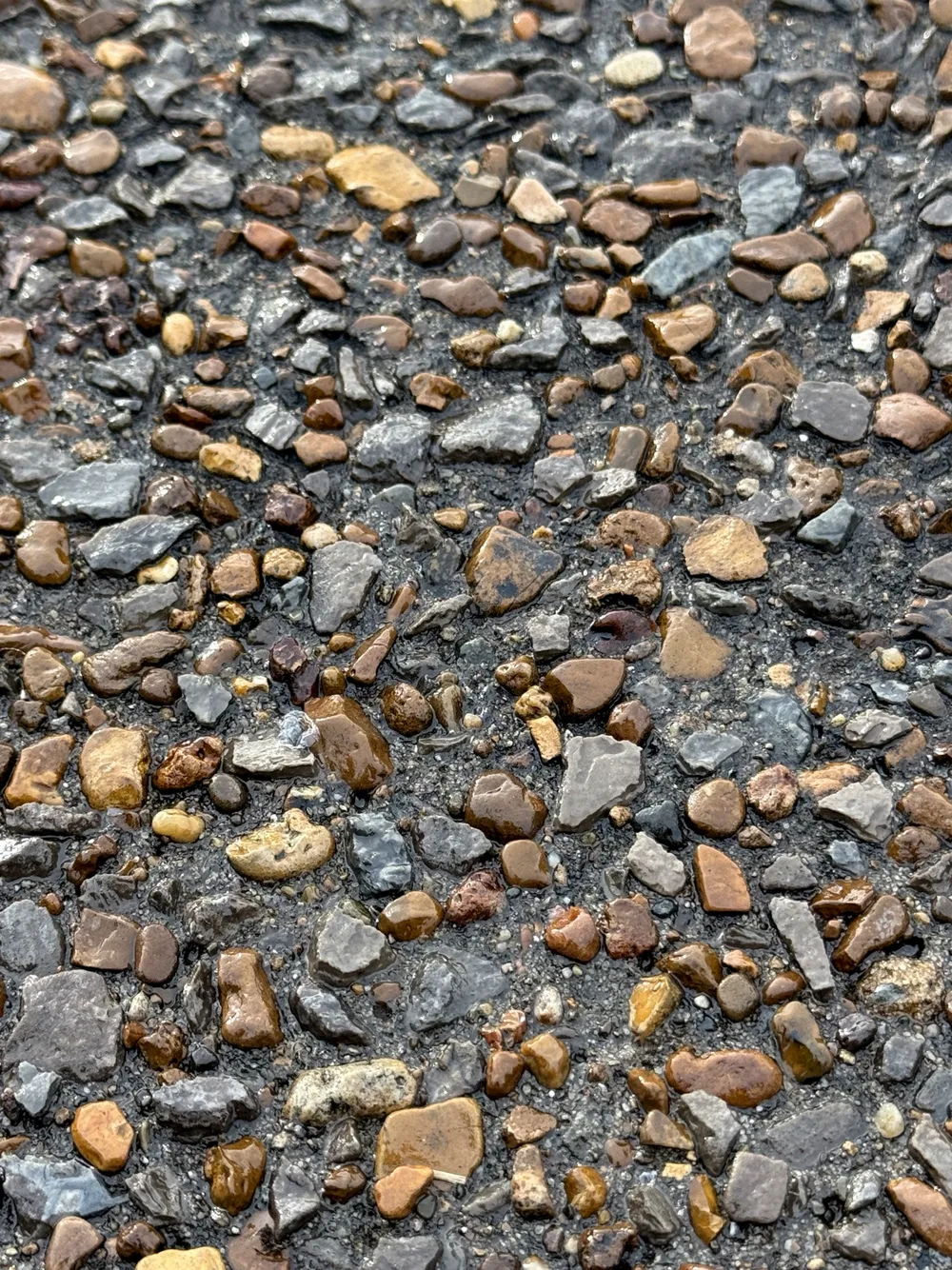 Close-up of freshly sealed exposed aggregate showing rich stone color