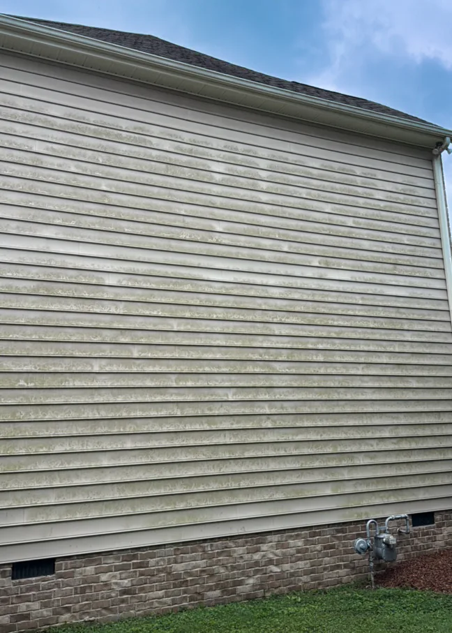 Green algae stripped from vinyl siding — before cleaning in Spring Hill, TN